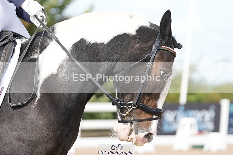 250906-121739-02293 - 082-Samantha.FussellDai.The.Pied