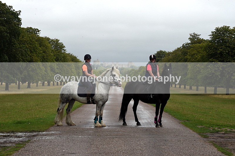 TT3_8287 - Time at Crossing 10:16 to 11:38