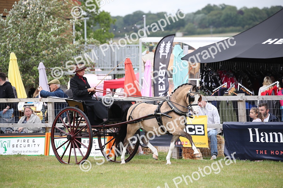 SBM_05895 - Class 12-15 - HOYS Private Driving
