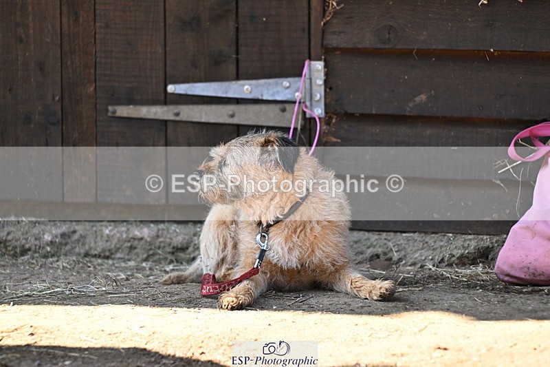 240729B-091511-01751 - Monday Stable Shots