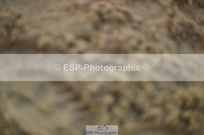 241110-162400-01448 - 80-85cm Arena Eventing