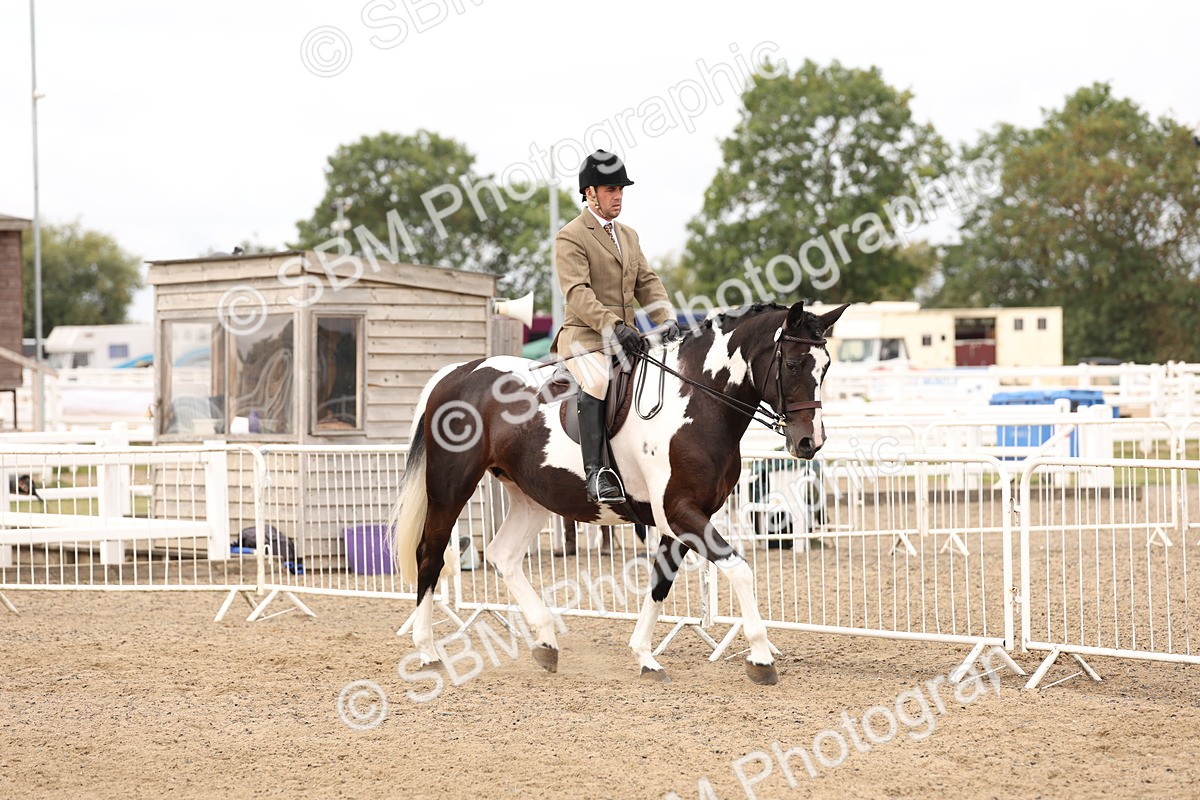 SBM_02805 - Class 53 - Ridden Competition Horse/Pony