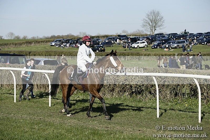 PtP 250317 426 - V.W.H. Hunt Point-to-Point Siddington 25/03/17