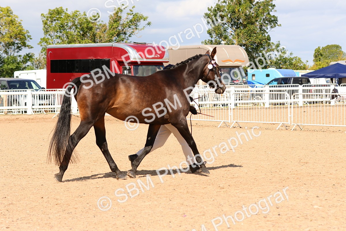 SBM_12311