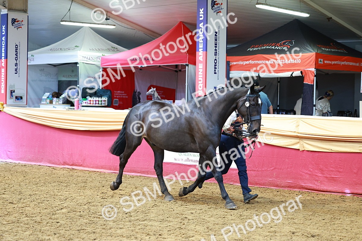 SBM_18580 - Class 903 - Sup Final - IH Pre Vet