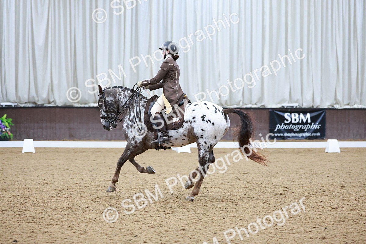 SBM_021378 - Class 14 - FEI Grand Prix - 17.40-18.34
