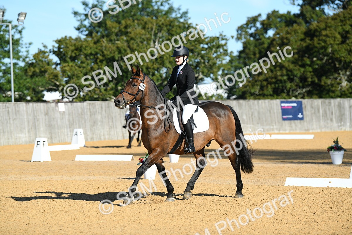 SBM_16189 - D4 - Small Tour Championship - Intro B
