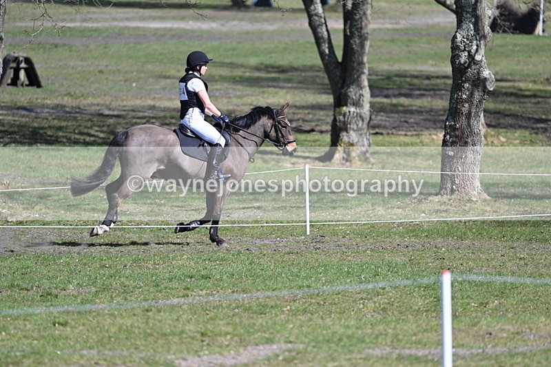 WJ7_0573 - XC Time 12:37 to 12:58