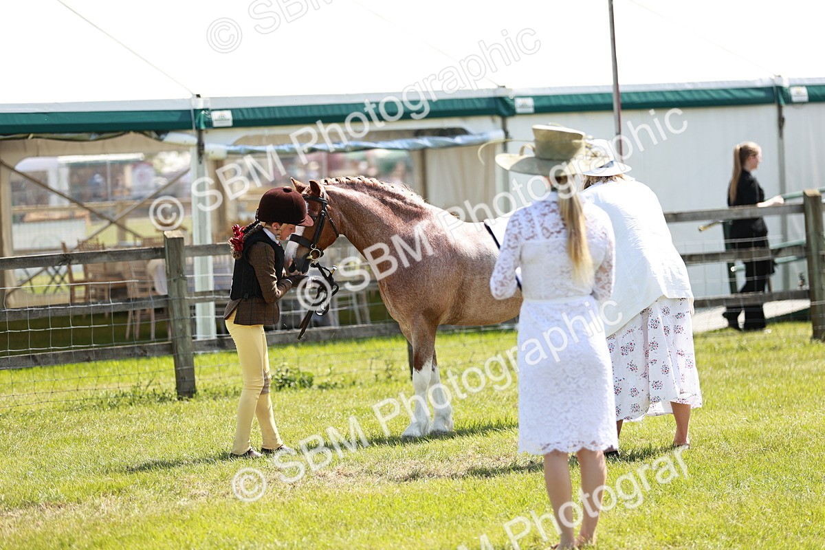 SBM_13523 - Class 108-109 - BSPS LIHS Open Gradle & Nursery Stakes
