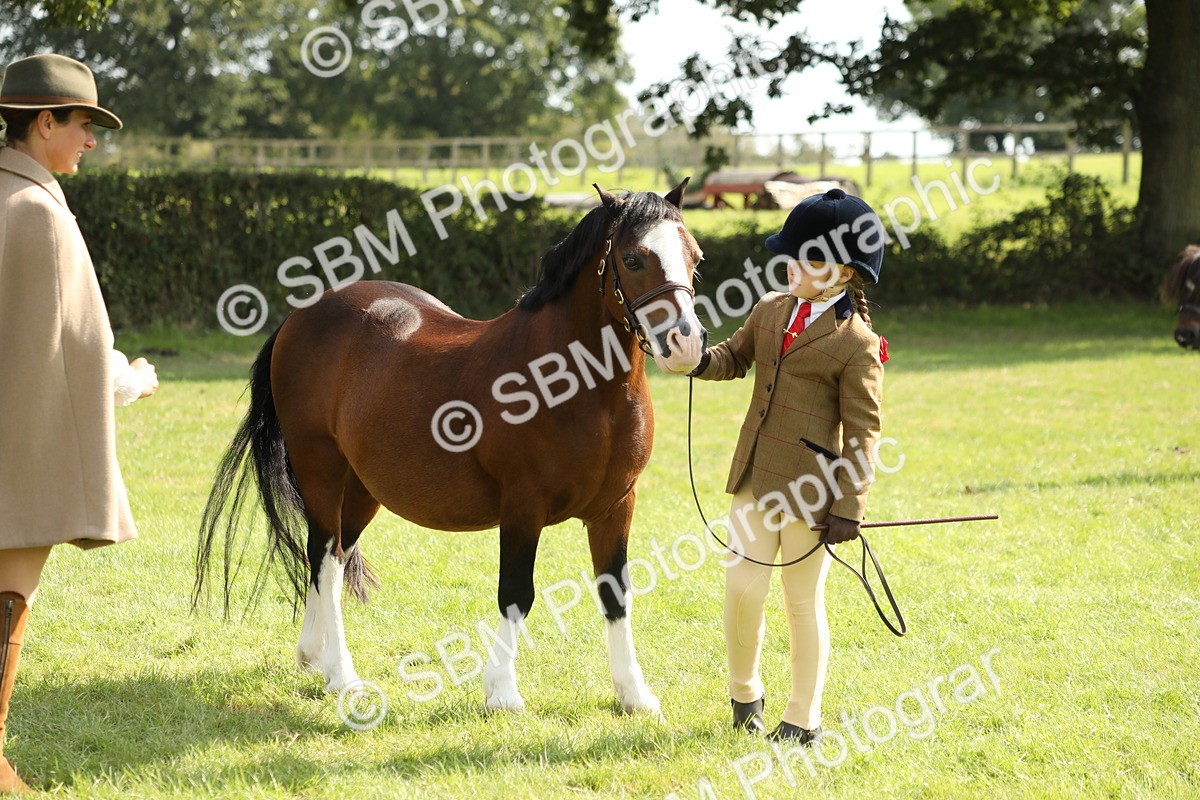SBM_67769 - S39 - Junior Handler 8  Years & Under
