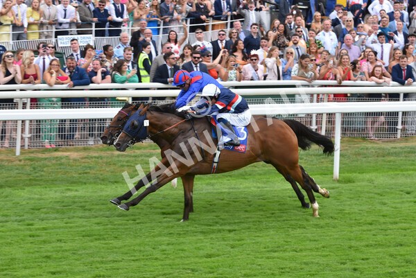 yr23072022r3-37 - Race 3 3.15pm Sky Bet York Stakes