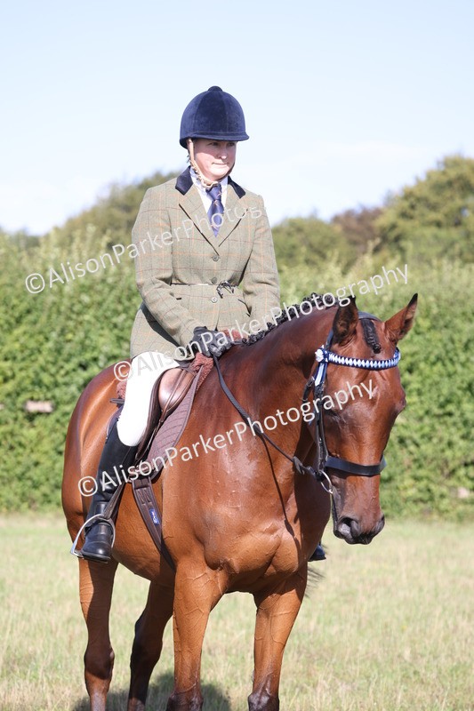 20260906-0375 - Class 14 - Ex Racehorse