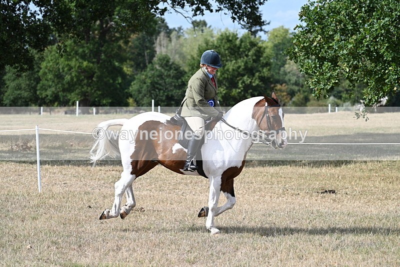 WJ7_7511 - Class 14 Ridden Coloured
