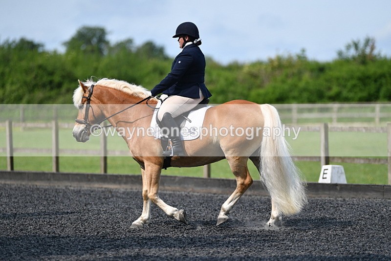 WJ5_9233 - Time 10:10 to 10:47