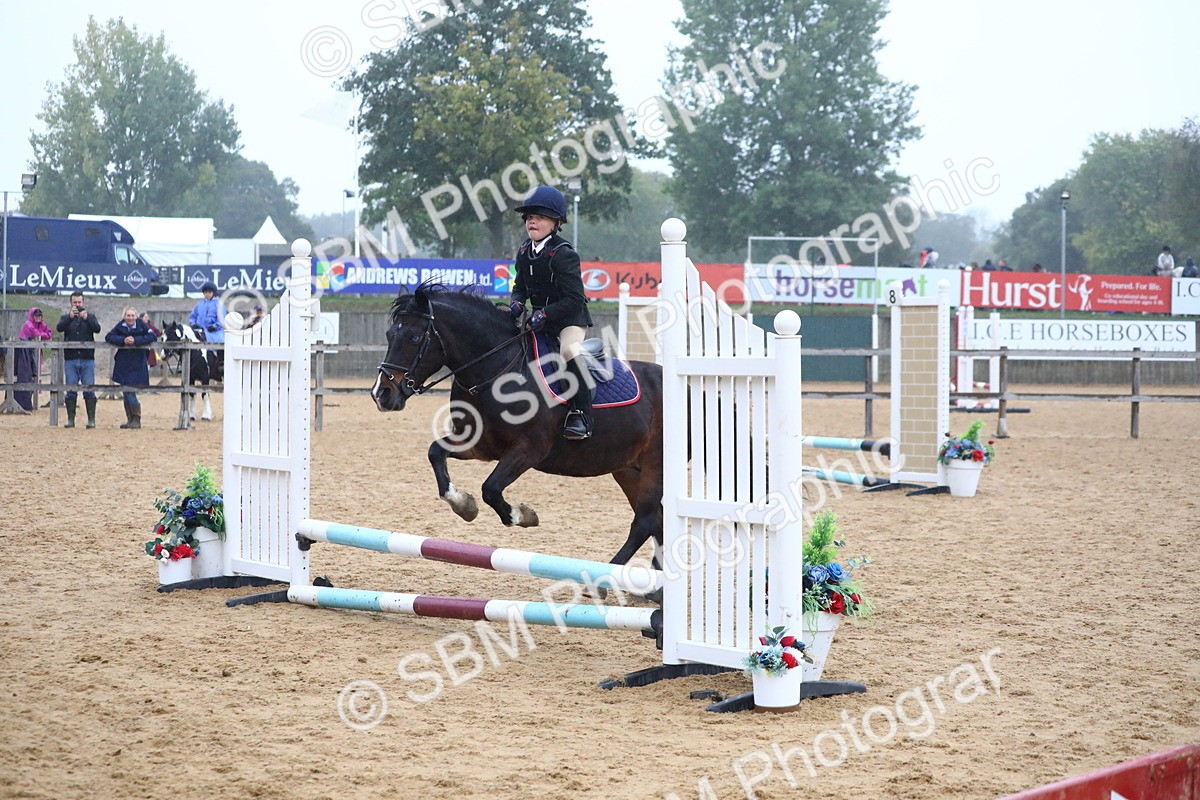 SBM_71797 - J4 - Mini Tour Junior Pony 45cm Championship