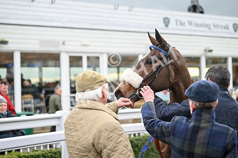 171224-Race 5-Wrappedinrubies-3506 - Race 5