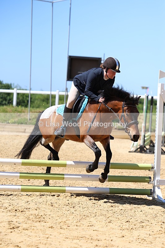 3E7A2622 - Class 4/5: 60cm Open Teams and Individuals