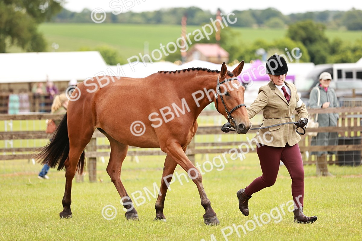SBM_00756 - Class 26-30 Sport Horse In Hand