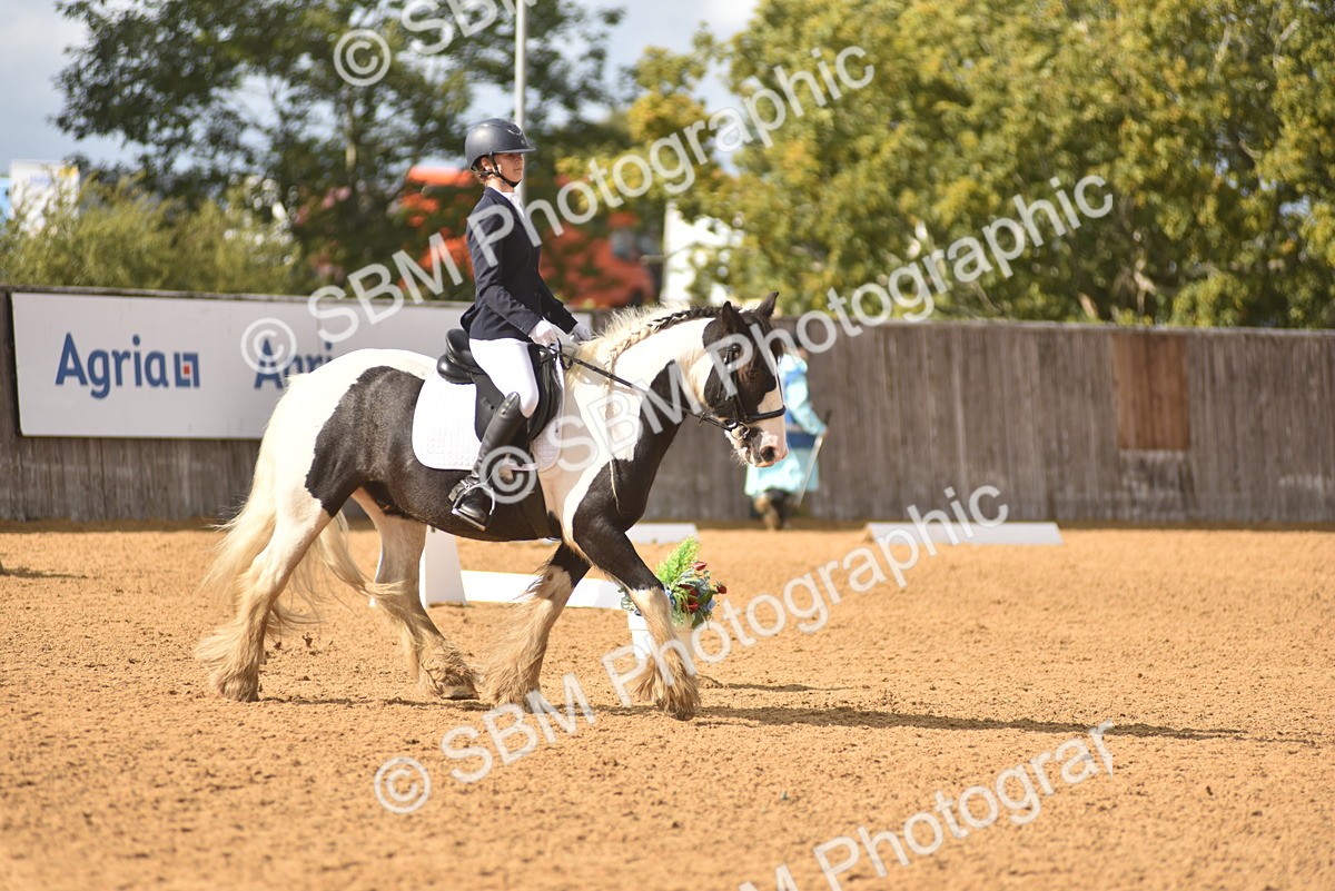 SBM_48843 - D22 - Junior Championship Intro 3