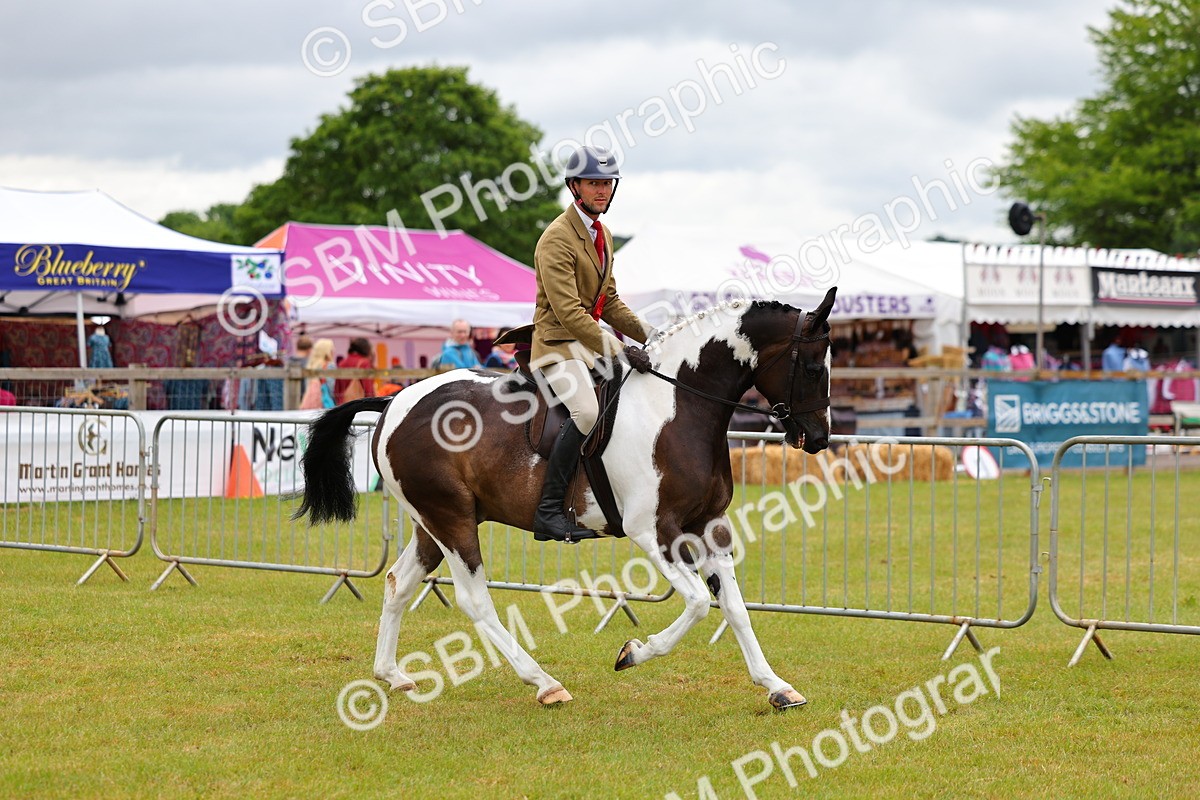 SBM_02608 - Class 9-11 Side Saddle including LIHS Rising Star Ladies Show Horse