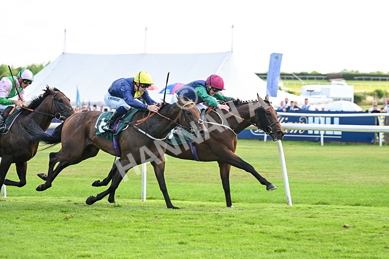 160725-Race 5-Chuti Manika-9303 - Race 5