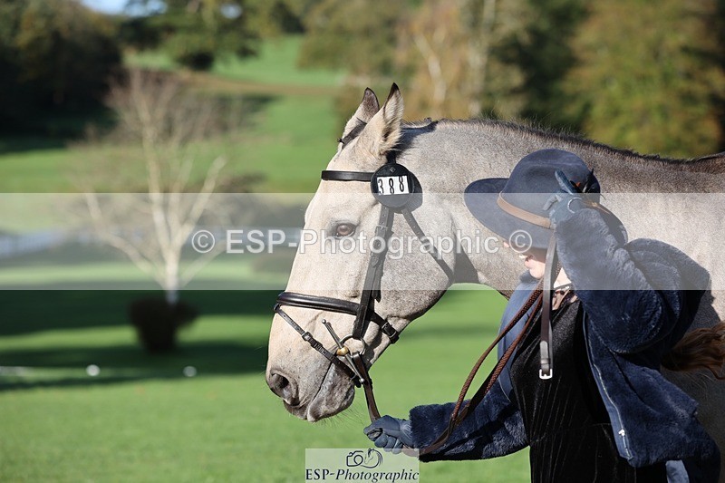 241027-094328-15466 - 388-Anaya.Stoneman-DUNTOATEE