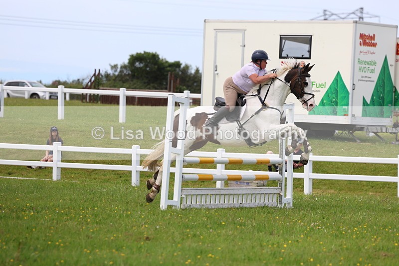 3E7A1700 - Class 13: Senior British Novice/90cm open