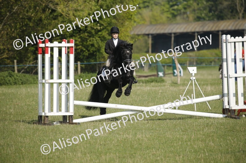 20250427-0317 - Class 12 - Rookie Jumping 40cm