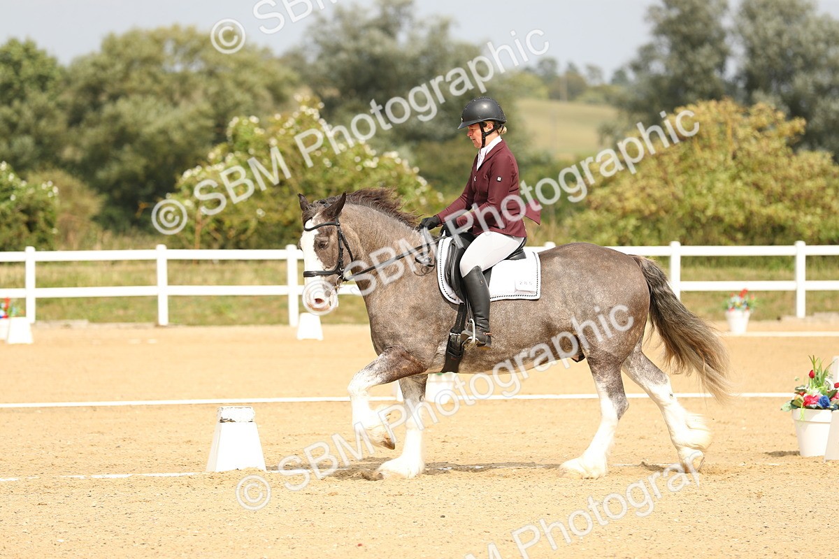 SBM_017311 - Class 13 - Novice 23 - 13.31-14.13