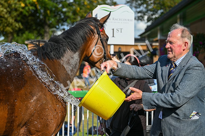 290825-Race 4-Eternal Sunshine-9138 - Race 4