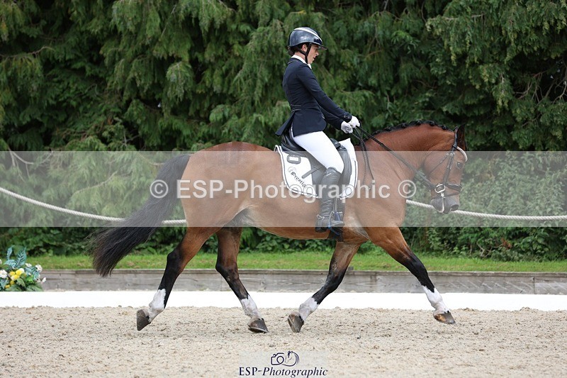 230812-150900-05064 - Cls 5 Novice Bronze 15.00 to End