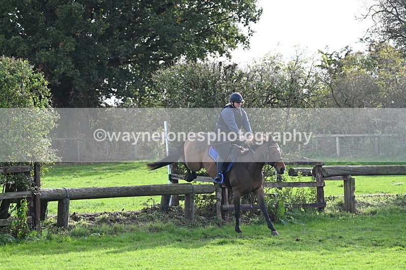 WJ7_0957 - Time 14:27 to 15:11