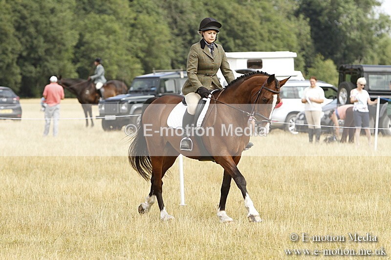 _BS_0673 - BVRC Show 2018 Ring 3