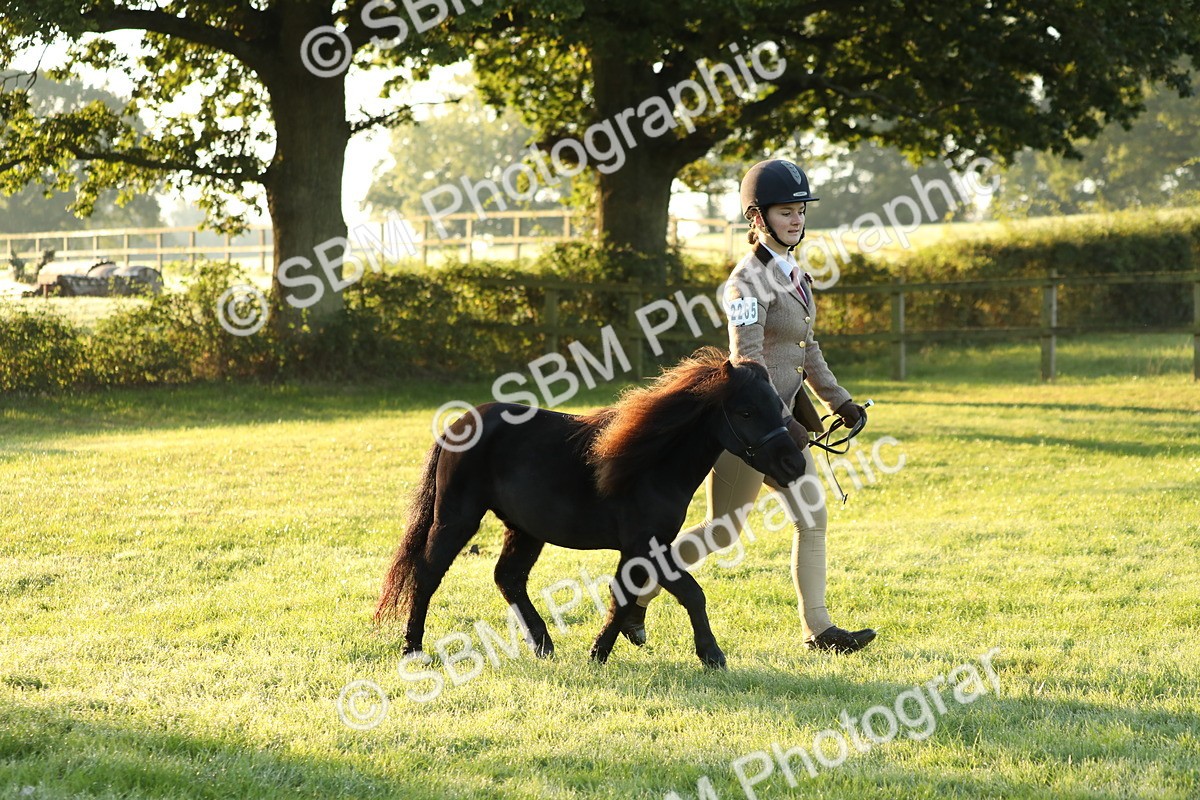 SBM_57815 - S42 - Youngstock