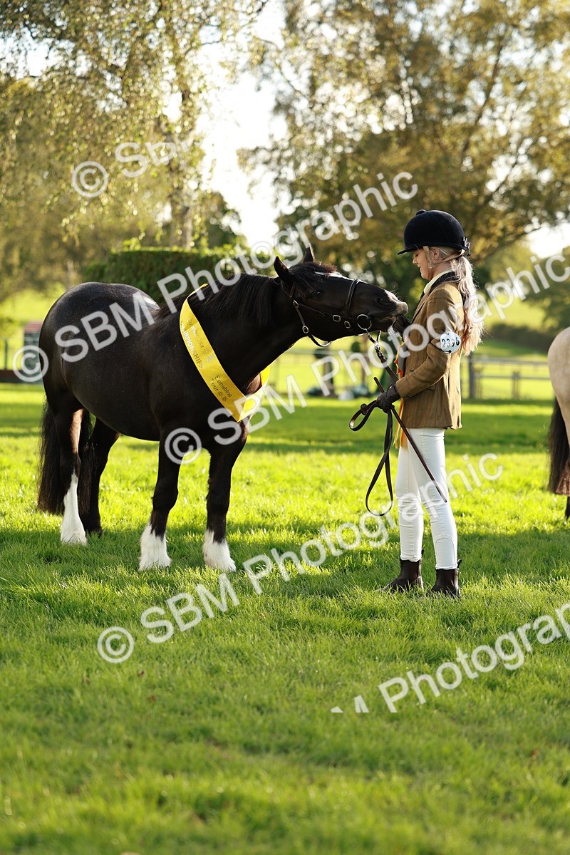 SBM_29300 - Novice & newcomer Supreme Championship
