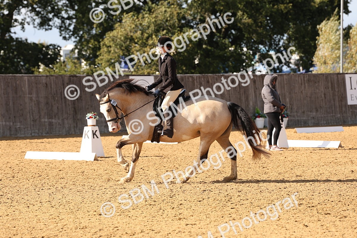 SBM_50400 - D12 - Small Tour Championship prelim 2