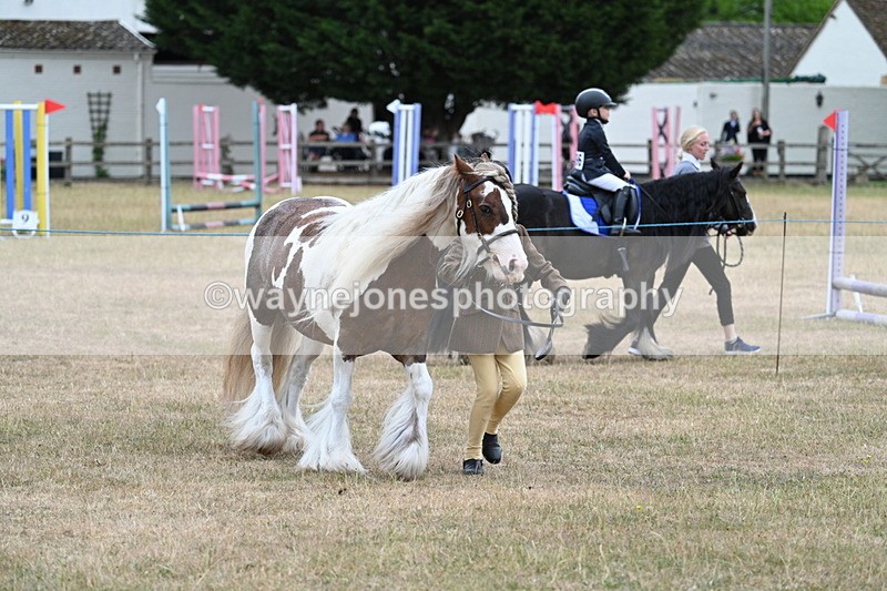 WJ7_8257 - Class 4 Prettiest Mare up to 14.2hh
