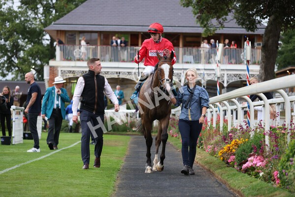 yr22072022r6-29 - Race 6 7.50pm Gallop Racing Stakes