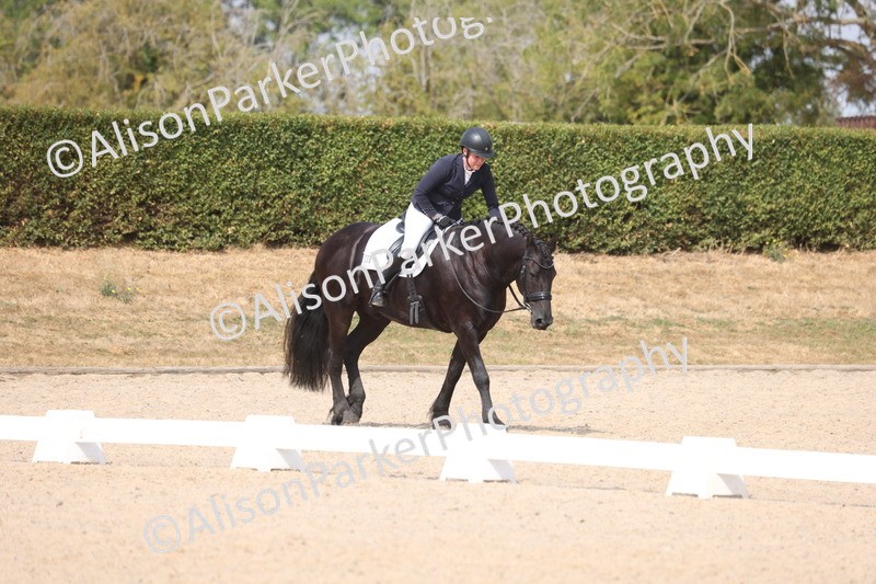 20260816-0655 - Class 3 - Novice 4