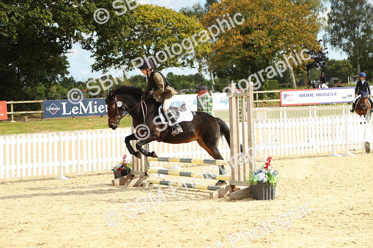 SBM_46588 - J7 - Junior Pony 60cm Championship