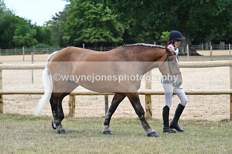 WJ7_8904 - Class 4a Prettiest Mare 14.2hh and over