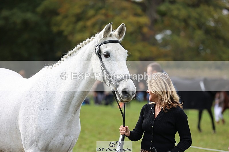 251026A-120202-25837 - F-476-Romellie.Brown
