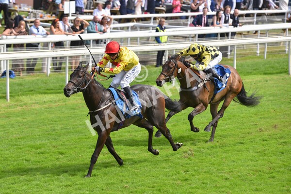 yr10072021r4-12 - Race 4: 3.30pm John Smith's Nursery Stakes