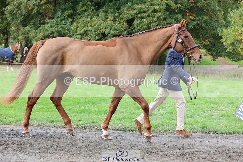 251026A-114648-25680 - G-561-Jack.Jones-Lee