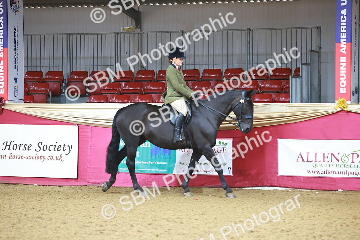 SBM_07557 - Class 101 - HOYS Veteran Qualifier - Ridden Diamond