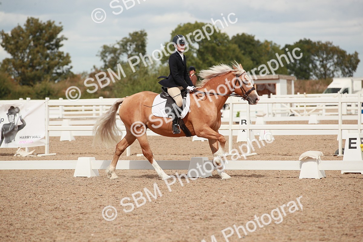 SBM_05893 - Class 32 - Novice 1