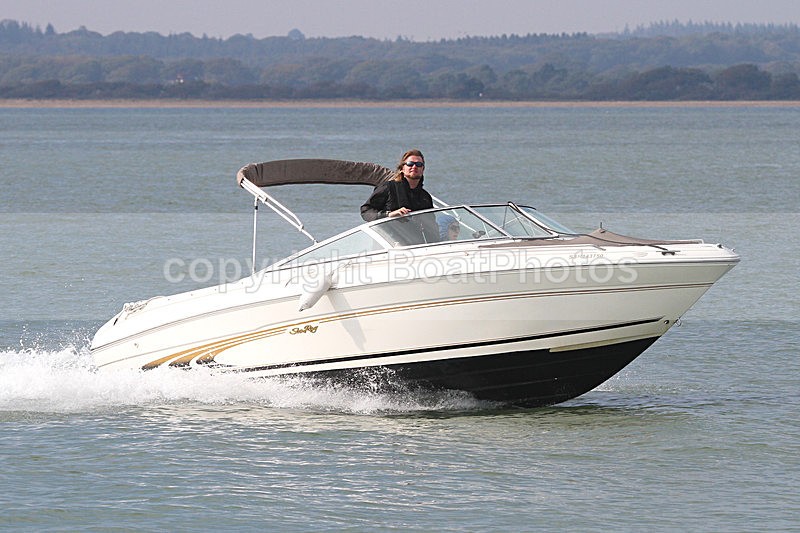 151003 SEARAY 210 IMG_3112 - Motorboats - Open