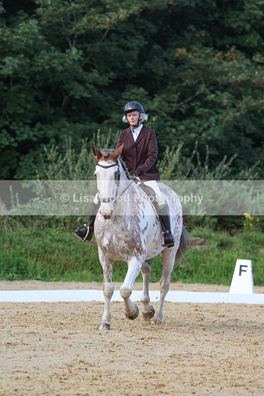 3E7A2418 - Class 1: Intro 4 2024 section A