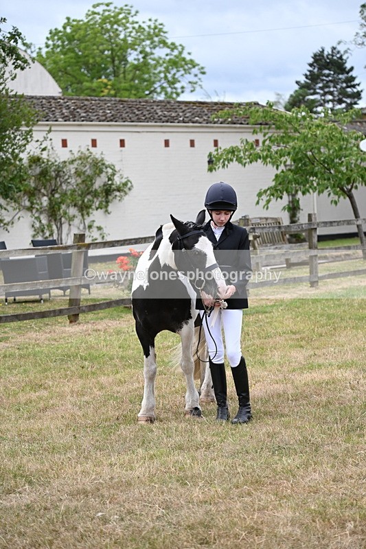 WJ6_4526 - Class 10 Coloured In-hand