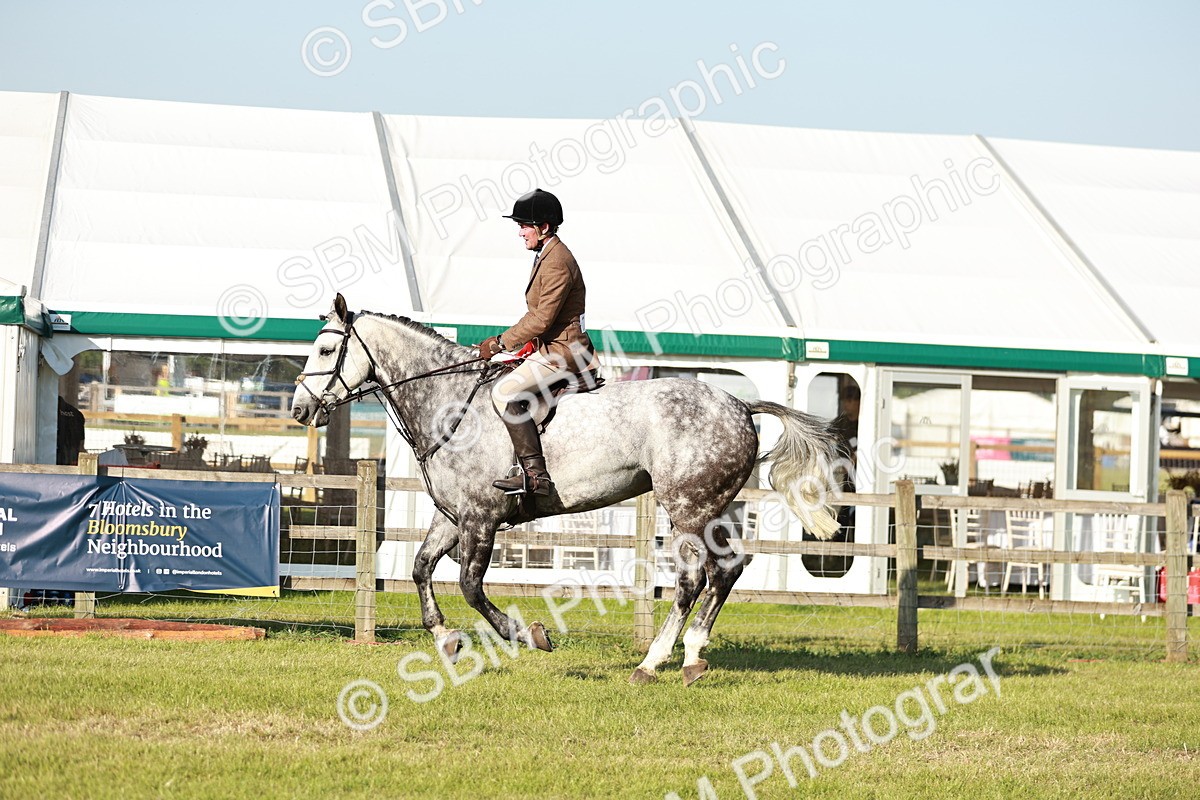 SBM_20101 - Class 115-116 - LIHS BSHA Rising Star Working Hunter & Show Horse